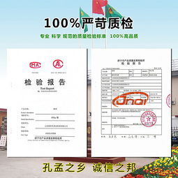 數(shù)字浪潮下的產(chǎn)品新生——公司某產(chǎn)品互聯(lián)網(wǎng)宣傳與銷售策略解析